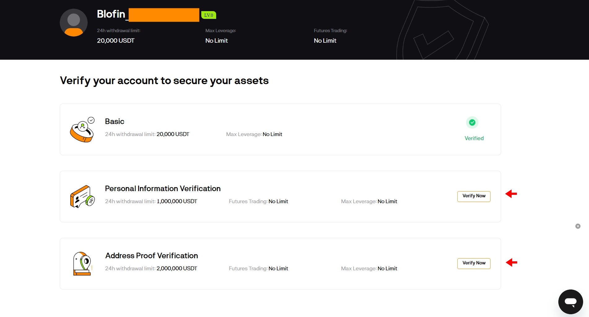 BloFin identity verification page