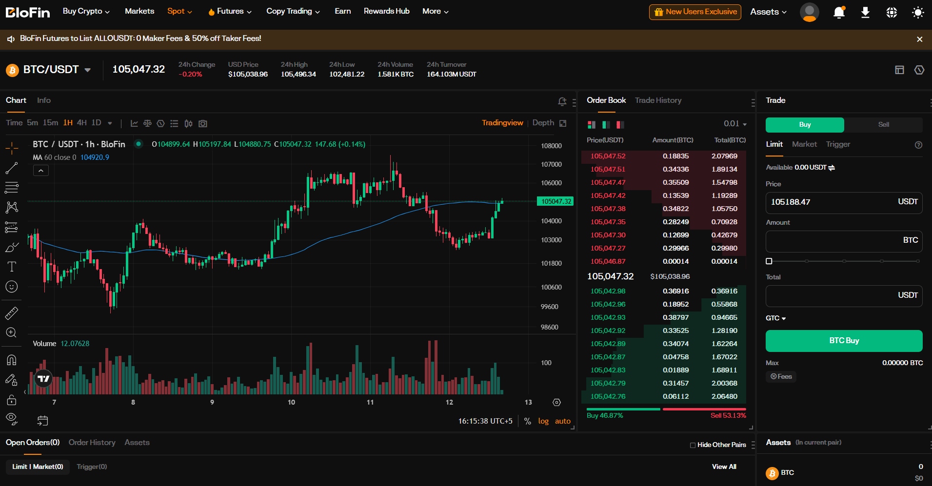 BloFin spot market interface