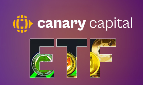 Canary Capital’s MOG ETF Filing Gives Memecoin a Boost