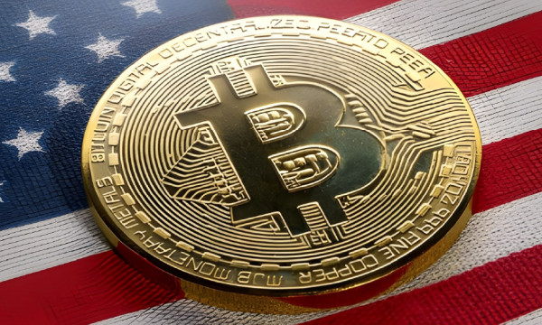 How to Report Crypto Taxes in the USA