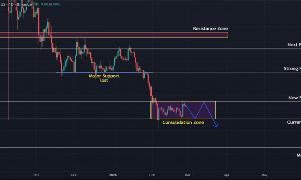LINK Holds $8.00 Support but Breakdown Points to Deeper Correction