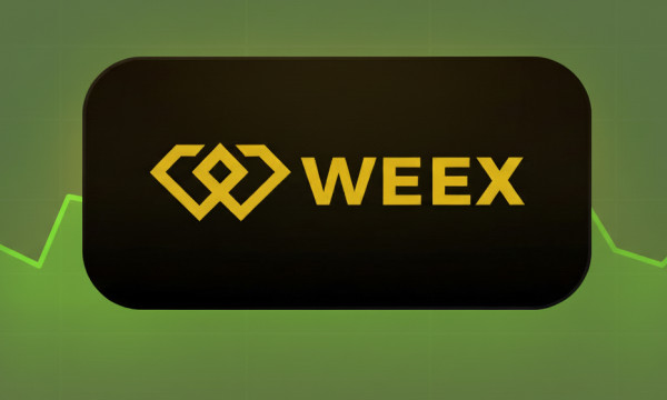 The Ultimate WEEX Futures Trading Guide The Ultimate WEEX Futures Trading Guide