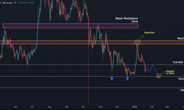 Ripple (XRP) Price Prediction: Bulls Struggle as Key Support Levels Face Testing