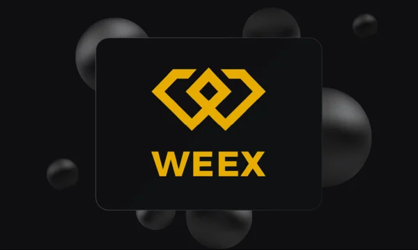WEEX Exchange Review: Features, Fees, Security, and More WEEX Exchange Review: Features, Fees, Security, and More