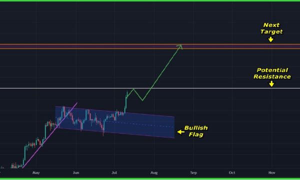 Bitcoin (BTC) Price Analysis (Jul 11, 2025): Bullish Flag Breakout Targets $140K, Potential Resistance at $120K