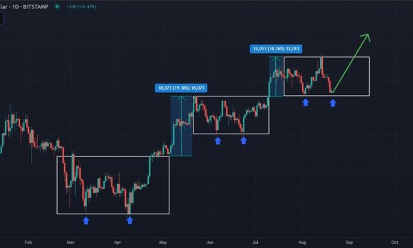 Bitcoin (BTC) Price Analysis (Aug 20, 2025): Double-Bottom Setup or Deeper Correction Toward $100K?
