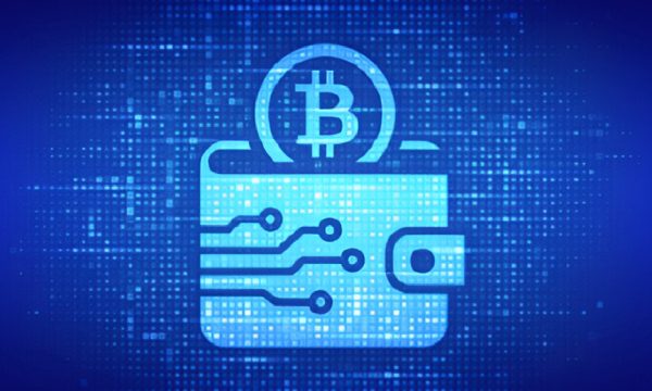 What is a Crypto Wallet? The Ultimate Beginner's Guide