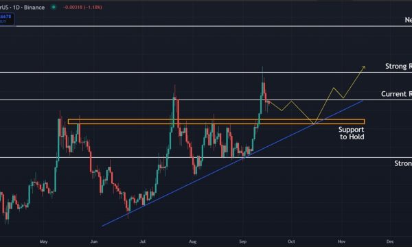 Dogecoin (DOGE) Price Analysis: Key Bounce Zone at $0.25 Could Signal Next Rise