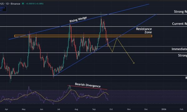 Dogecoin (DOGE) Price Analysis: Bears Take Over After $0.250 Support Fails