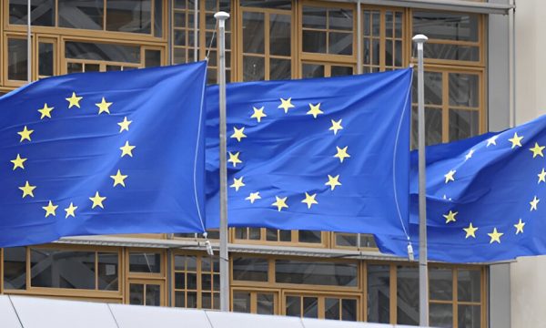 EU Regulator Warns Tokenized Stocks Require Strong Safeguards