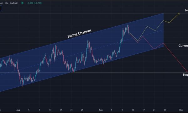 Hyperliquid (HYPE) Price Analysis: Short-Term Target at $60 While $50 Level Stays Crucial