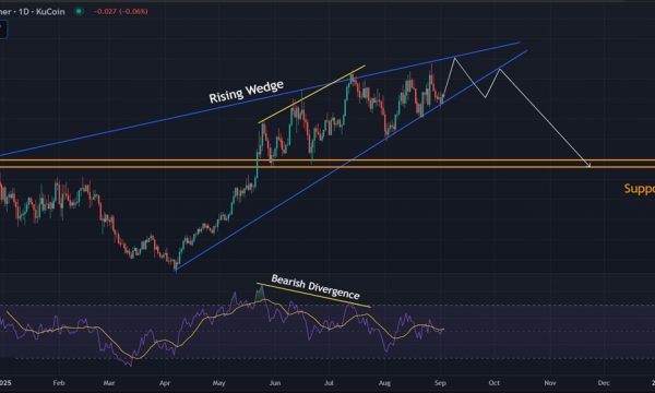 Hyperliquid (HYPE) Price Analysis: Uptrend Holds but Bearish Signals Emerge