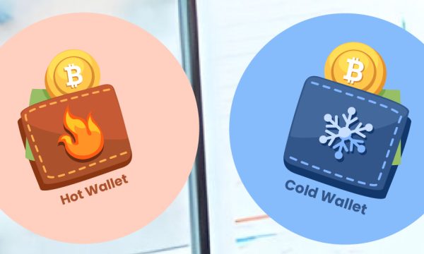 Hot Wallets vs. Cold Wallets: Which Crypto Wallet is Right for You Hot Wallets vs. Cold Wallets: Which Crypto Wallet is Right for You