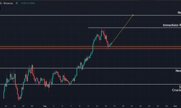 Solana (SOL) Price Analysis: Bulls Eye $260 While Bearish Divergence Signals Caution