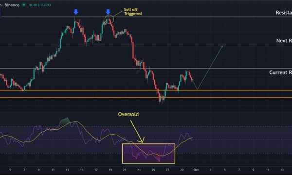 Solana (SOL) Price Analysis: Relief Bounce at $200 but $215 Still Blocking Momentum