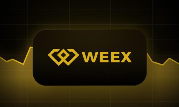 WEEX App Tutorial – How to Trade Crypto on WEEX App?