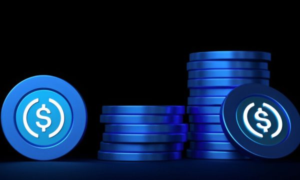 What is a Stablecoin: A Simple Guide for Beginners
