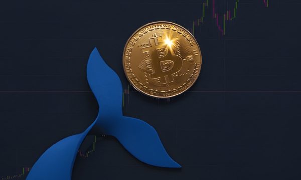 Mystery Whale Doubles Down on Bitcoin Short