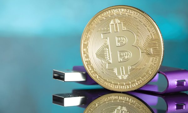 5 Best Crypto Hardware Wallets for Beginners
